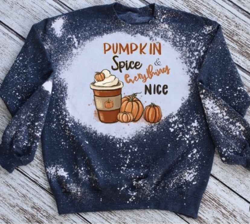 Pumpkin spice & everything nice sweatshirt