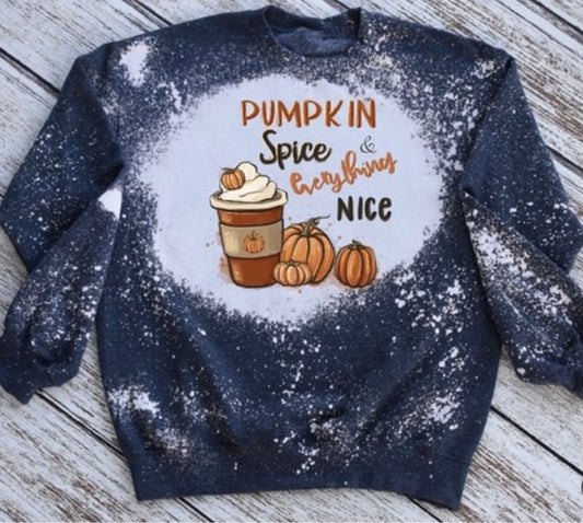 Pumpkin spice & everything nice sweatshirt